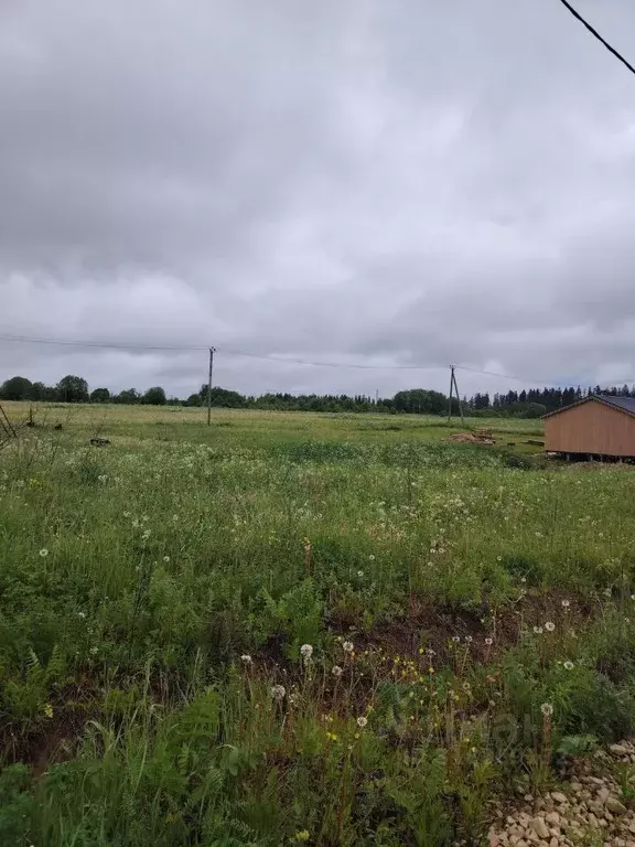 Участок в Ленинградская область, Гатчинский район, д. Ознаково ул. ... - Фото 0