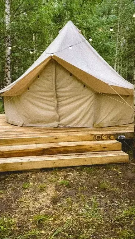 Дом в Нижегородская область, Сокольский муниципальный округ, д. ... - Фото 2