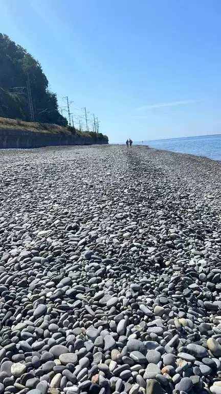 Комната Краснодарский край, Сочи городской округ, с. Зубова Щель ул. ... - Фото 1