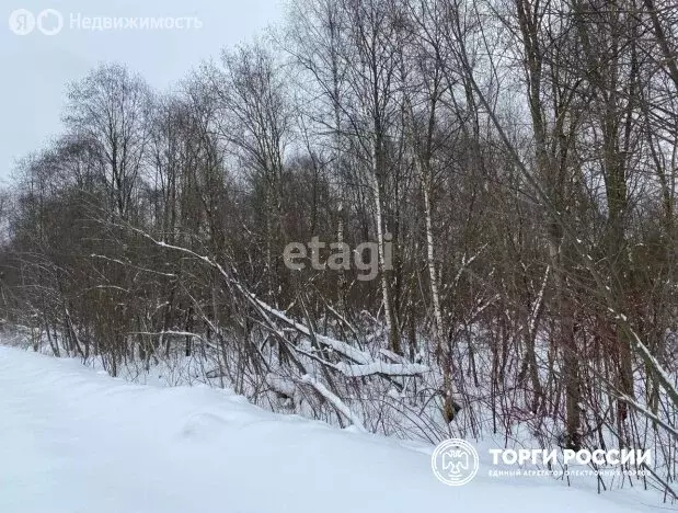 Участок в Ярославль, жилой район Липовая Гора, Лютовская улица (9.4 м) - Фото 1