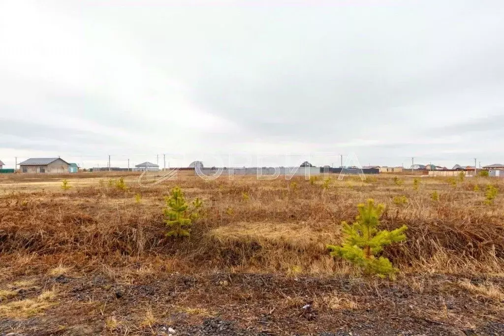 Участок в Тюменская область, Тюменский район, д. Елань  (15.7 сот.) - Фото 1