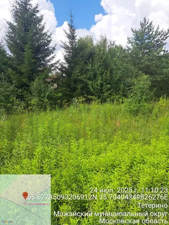 Участок в Московская область, Можайский муниципальный округ, д. ... - Фото 1