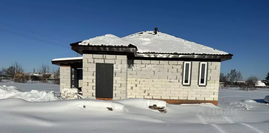 Дом в Пензенская область, с. Бессоновка ул. Центральная (90 м) - Фото 1