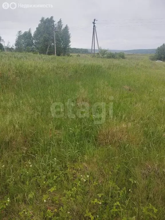 Участок в Кочкуровский район, село Подлесная Тавла (10.91 м) - Фото 2