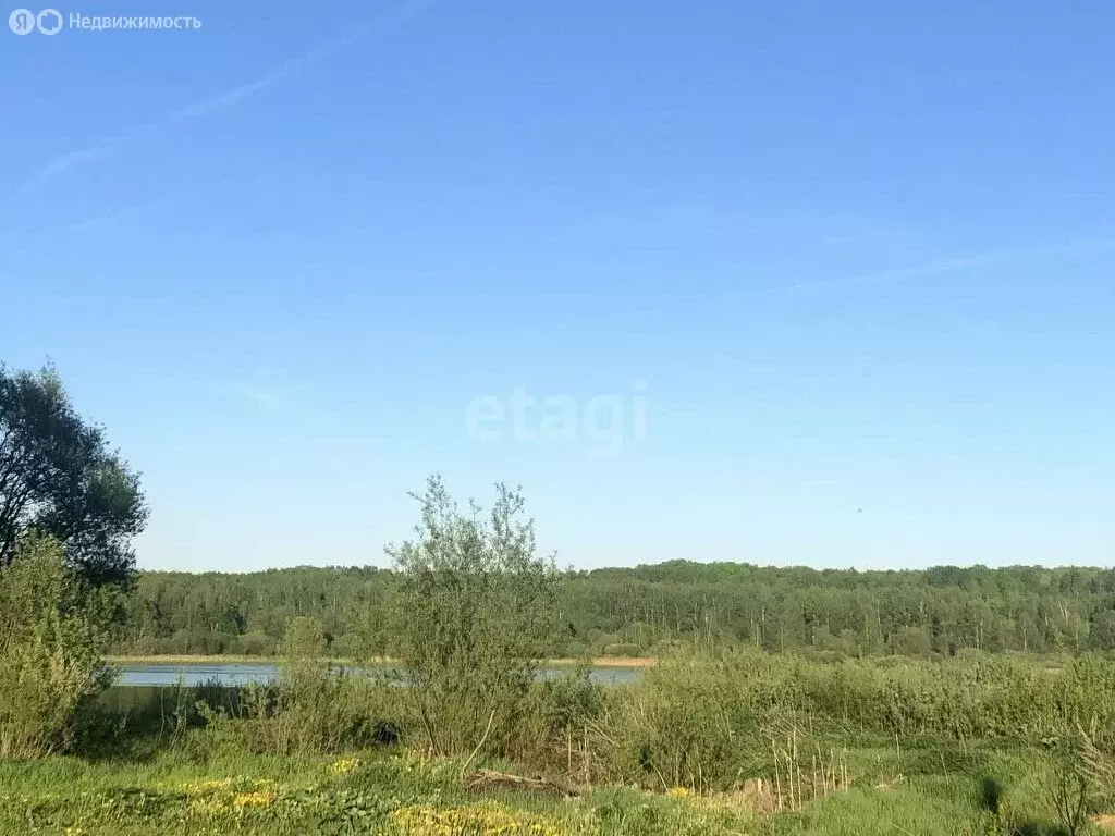 Участок в Ярославский муниципальный округ, село Толбухино (19.3 м) - Фото 0