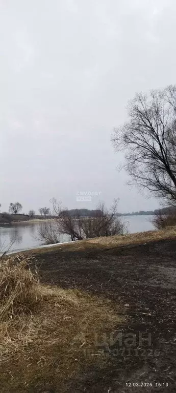 Участок в Рязанская область, Рыбновский район, Пощуповское с/пос, с. ... - Фото 1