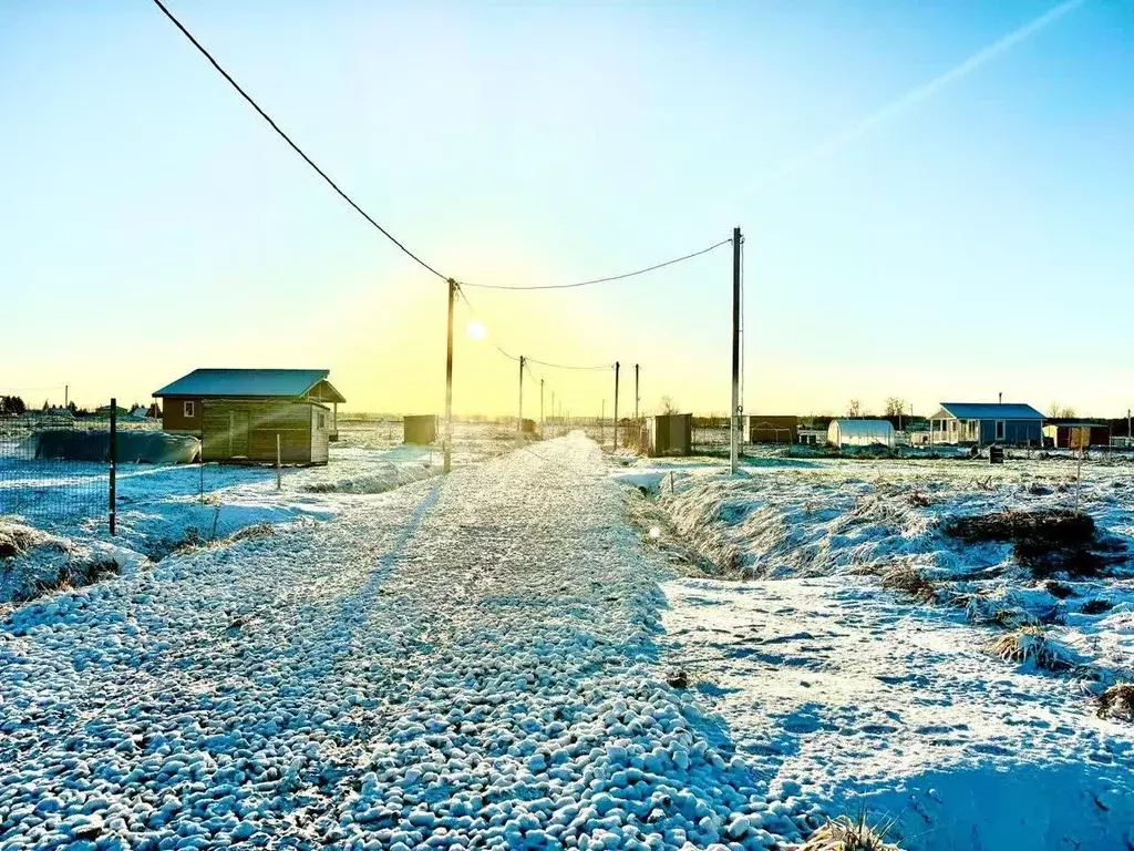 Участок в Ленинградская область, Ломоносовский район, Лопухинское ... - Фото 1