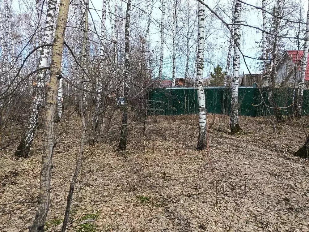 Участок в Красноярский край, Красноярск  (7.0 сот.) - Фото 1
