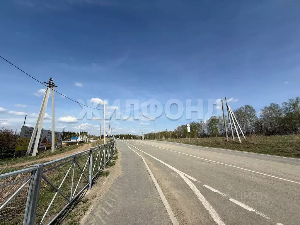 Участок в Новосибирская область, Тогучинский район, Репьевский ... - Фото 2