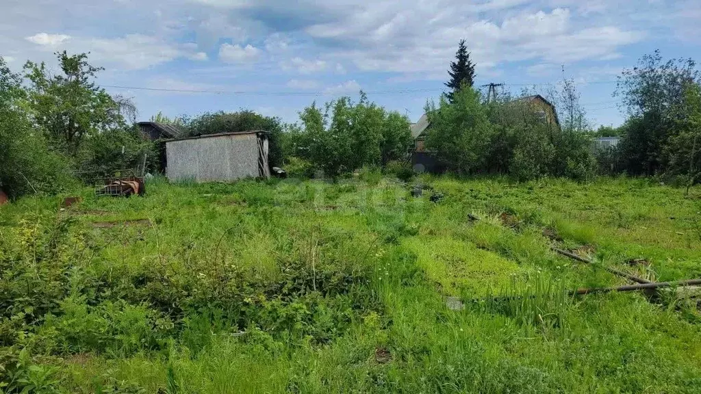 Участок в Оренбургская область, Оренбургский район, Сергиевский ... - Фото 2