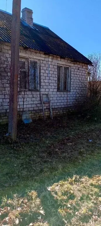 Помещение свободного назначения в Смоленская область, Велижский ... - Фото 2