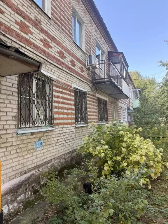 3-к кв. Московская область, Воскресенск городской округ, д. Чемодурово ... - Фото 1
