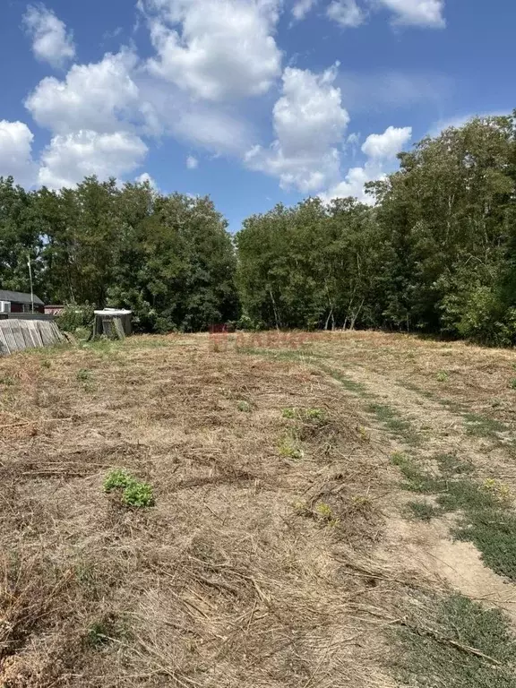 Участок в Ростовская область, Аксайский район, Большелогское с/пос, ... - Фото 1