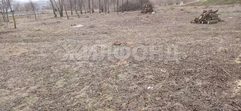 Участок в Воронежская область, Семилуки  (10.0 сот.) - Фото 0