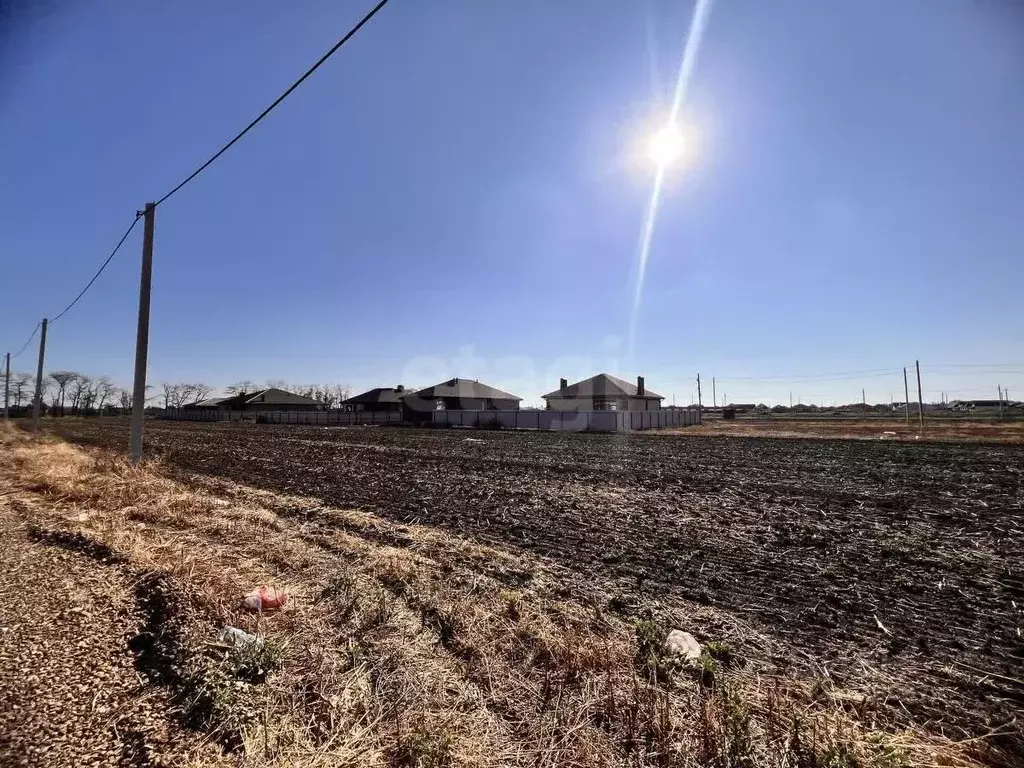 Участок в Ростовская область, Неклиновский район, с. Новобессергеневка ... - Фото 1