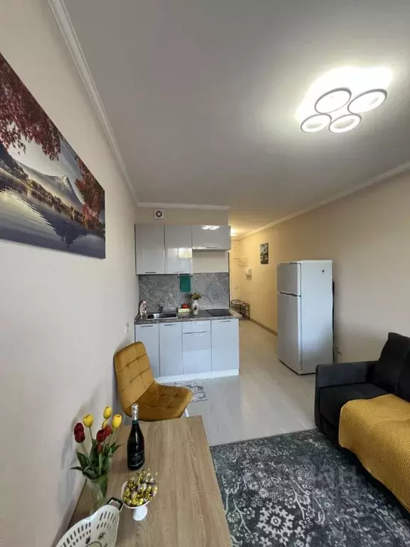 Студия Ленинградская область, Мурино Всеволожский район, ул. Шоссе в ... - Фото 2