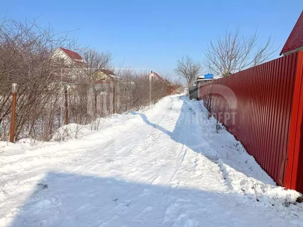 Участок в Воронежская область, Воронеж Южный СДТ, ул. Тополиная (5.4 ... - Фото 0