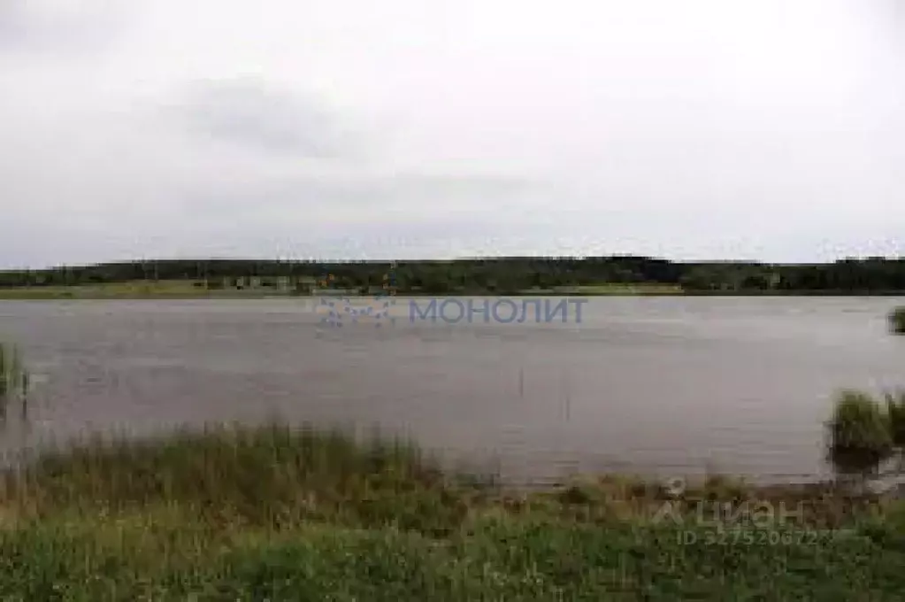 Участок в Нижегородская область, Богородский муниципальный округ, д. ... - Фото 2