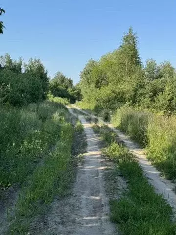 Участок 8 сот. (ИЖС) - Фото 0