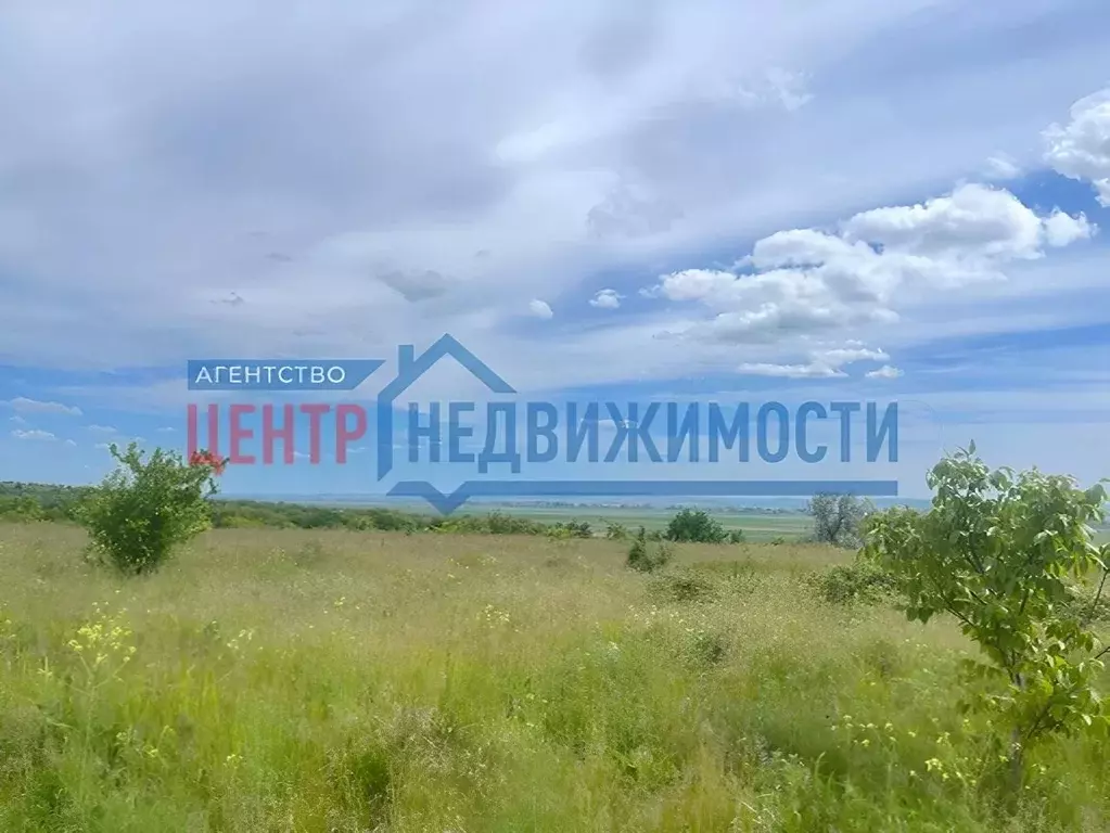 Участок в Краснодарский край, Темрюк Лотос СОТ,  (8.0 сот.) - Фото 1