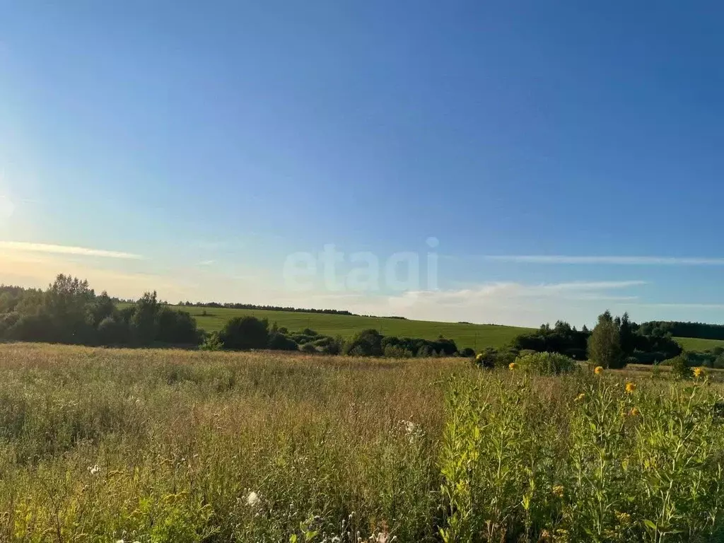 Участок в Костромская область, Красносельский район, Шолоховское ... - Фото 0
