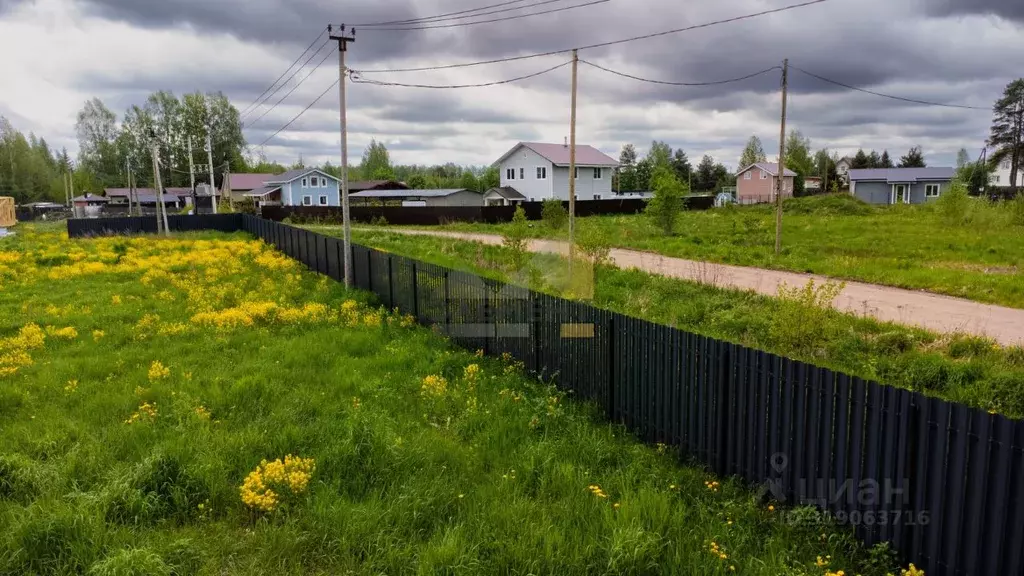 Участок в Ленинградская область, Приозерский район, Красноозерное ... - Фото 1