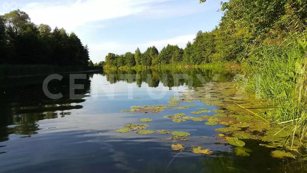 Участок в Липецкая область, Добровский муниципальный округ, село ... - Фото 1