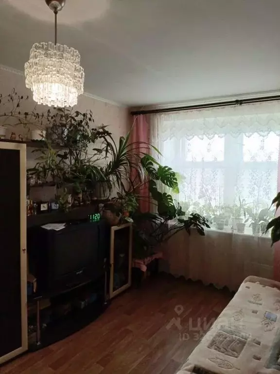 Комната Нижегородская область, Дзержинск ул. Рудольфа Удриса, 11 (17.5 ... - Фото 1