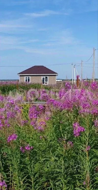 Участок в Тюменская область, Тюменский район, д. Малиновка  (5.0 сот.) - Фото 1