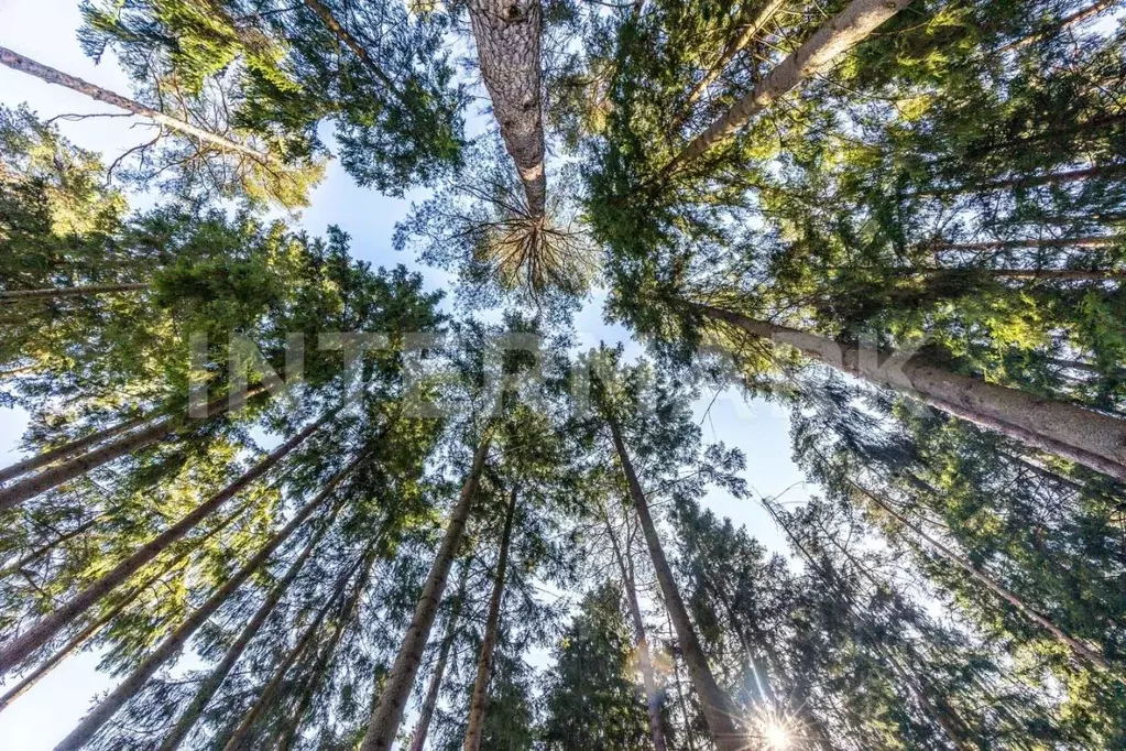 Участок в Московская область, Одинцовский городской округ, пос. ... - Фото 1