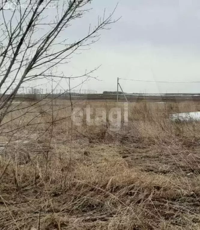 Участок в Юрга, 32-й квартал (13 м) - Фото 1