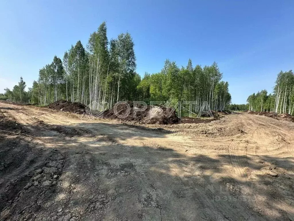 Участок в Тюменская область, Нижнетавдинский район, Строитель ТСН ул. ... - Фото 1