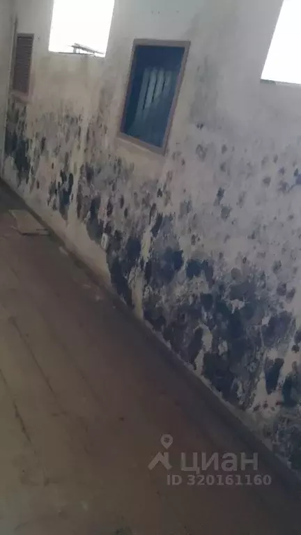 Помещение свободного назначения в Вологодская область, Грязовец ул. ... - Фото 1