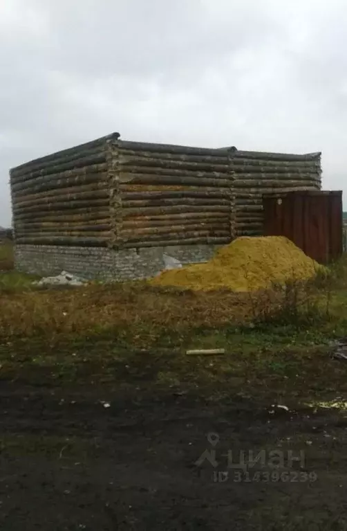 Участок в Ульяновская область, Карсун рп ул. Анисимова (11.0 сот.) - Фото 1