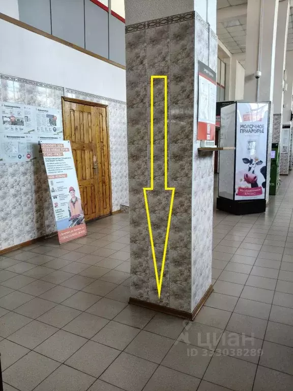 Торговая площадь в Амурская область, Белогорск ул. 1-я Вокзальная, 16 ... - Фото 1