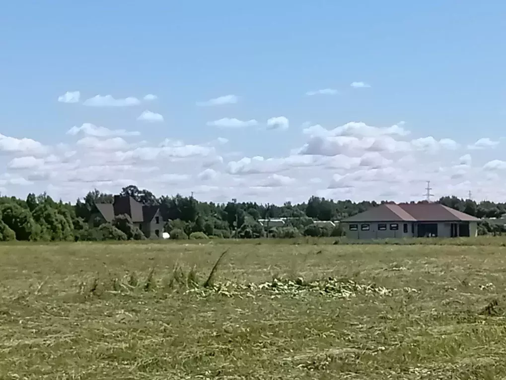 Участок в Ленинградская область, Кингисеппский район, Большелуцкое ... - Фото 1