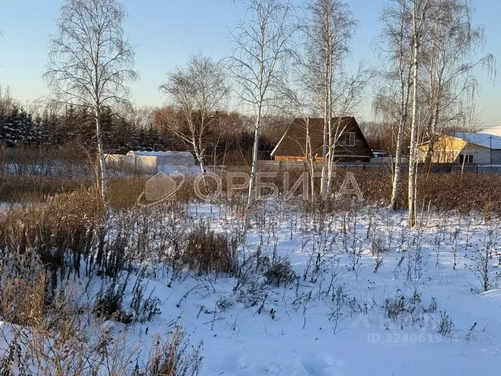 Участок в Тюменская область, Тюмень ул. Изобильная, 29к1 (8.0 сот.) - Фото 2