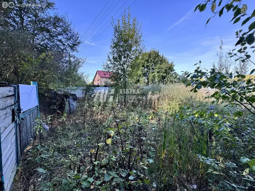 Участок в Богородский городской округ, деревня Мишуково (8 м) - Фото 1