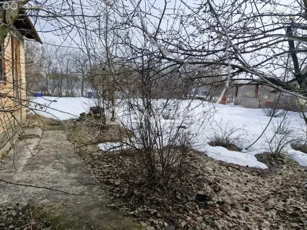 Участок в Коломна, СНТ Сосновка-1 (4 м) - Фото 1