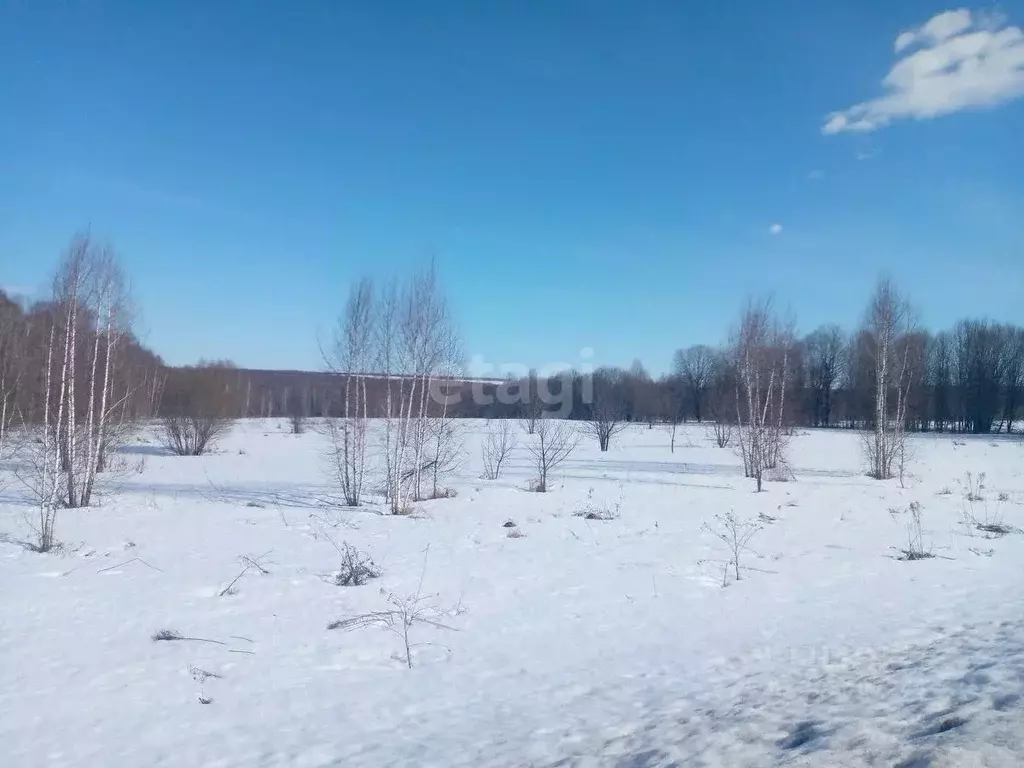 Участок в Нижегородская область, Дальнеконстантиновский муниципальный ... - Фото 0