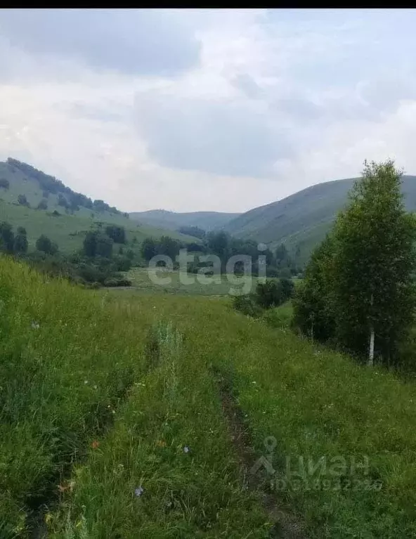 Участок в Алтайский край, Солонешенский район, с. Лютаево  (1280.3 ... - Фото 0