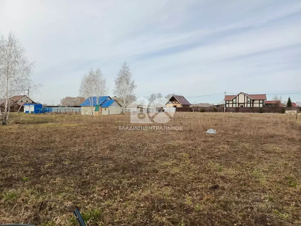 Участок в Новосибирская область, Новосибирский район, Ярковский ... - Фото 0