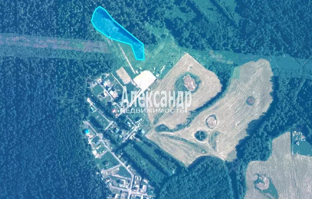 Участок в Ленинградская область, Приозерский район, Раздольевское ... - Фото 1