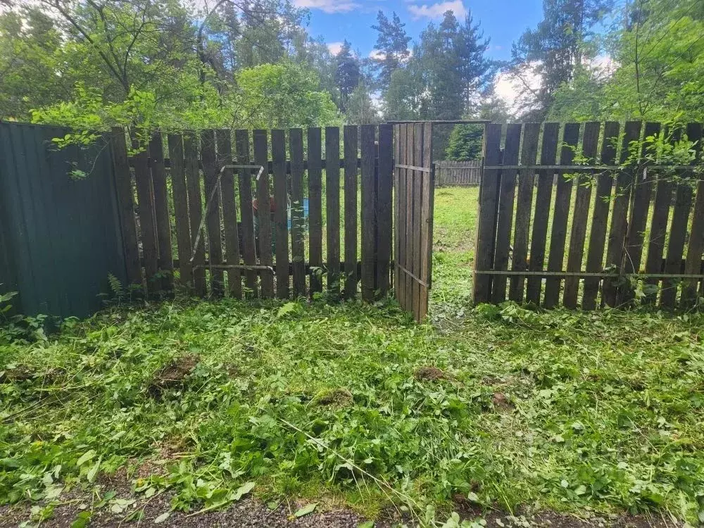 Участок в Московская область, Щелково городской округ, Лайнер садовое ... - Фото 2