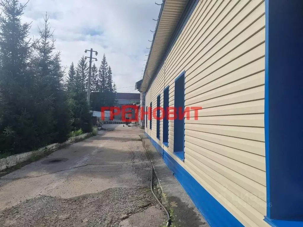 Помещение свободного назначения в Новосибирская область, Новосибирск ... - Фото 1