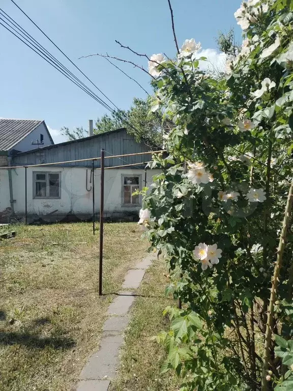 Участок 6 сот. (ИЖС) - Фото 0