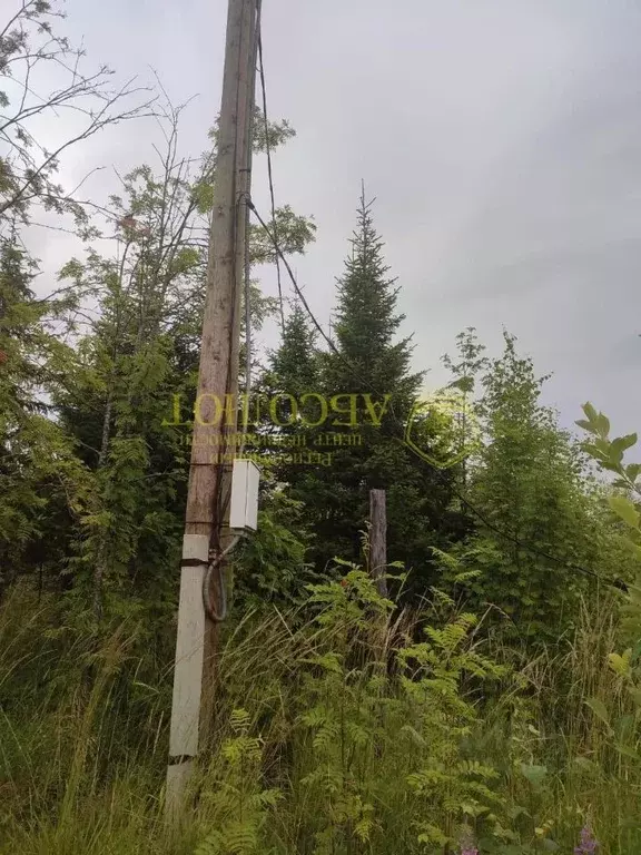 Участок в Свердловская область, Ревда муниципальный округ, с. Мариинск ... - Фото 2