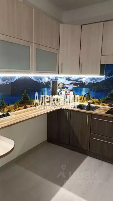 1-к кв. Санкт-Петербург ул. Верхне-Каменская, 11к1 (39.0 м) - Фото 1