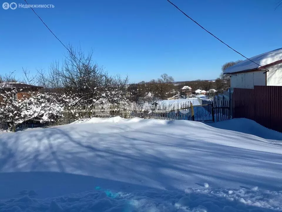 Участок в Московская область, муниципальный округ Луховицы, деревня ... - Фото 2