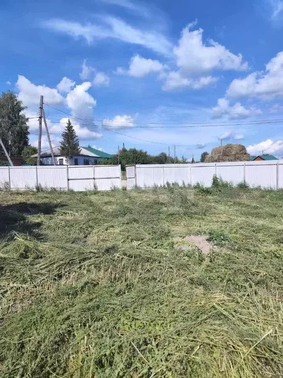 Участок в Новосибирская область, Колывань рп ул. Западная (5.5 сот.) - Фото 2